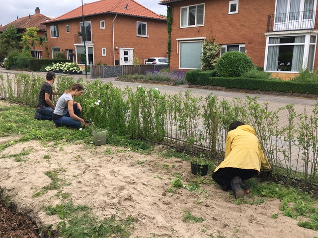 De Oranjebuurt in Bunnik gaat voor de bij!