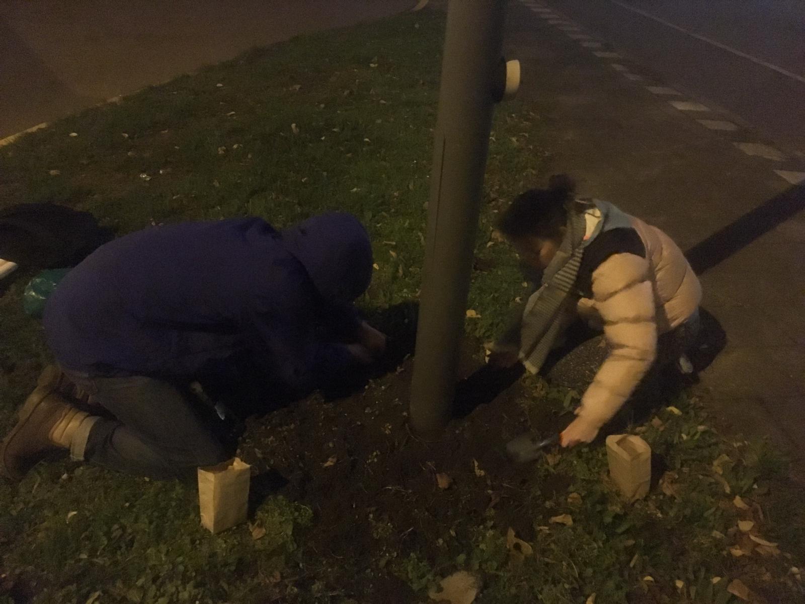 Short story of a first Guerrilla Gardening action